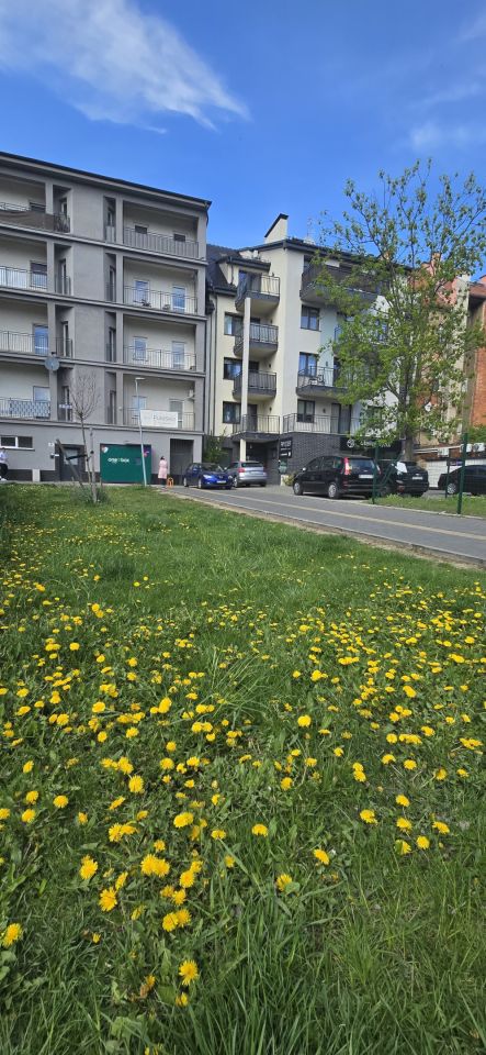 Lokal Legnica Centrum, ul. Wrocławska. Zdjęcie 10