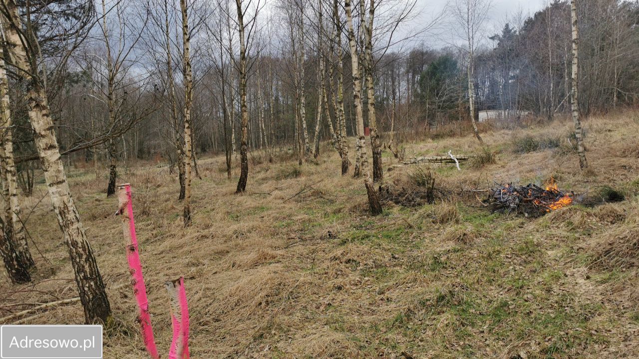 Działka budowlana Salinko, ul. Srebrna. Zdjęcie 5