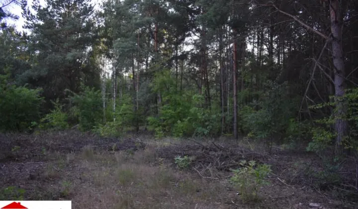 Działka rekreacyjna Wola Rasztowska