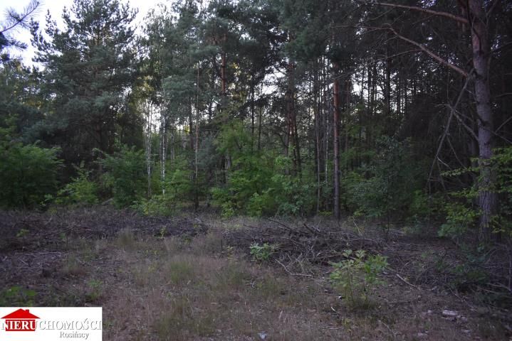 Działka rekreacyjna Wola Rasztowska. Zdjęcie 1