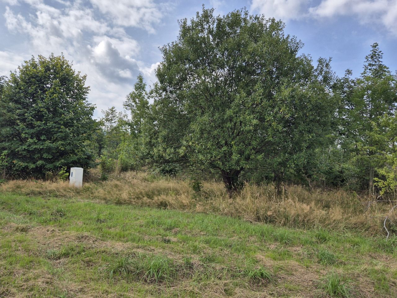 Działka rolno-budowlana Świeradów-Zdrój, ul. Jarzębinowa. Zdjęcie 4
