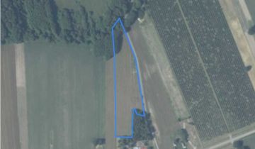 Działka rolno-budowlana Filipinów