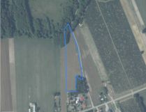 Działka rolno-budowlana Filipinów. Zdjęcie 1