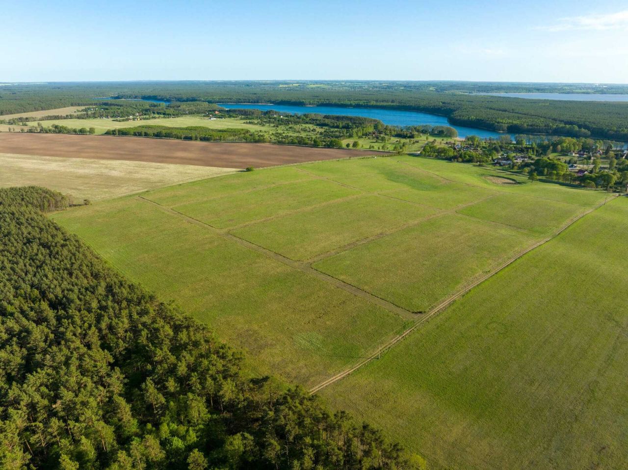 Działka Dołgie. Zdjęcie 3