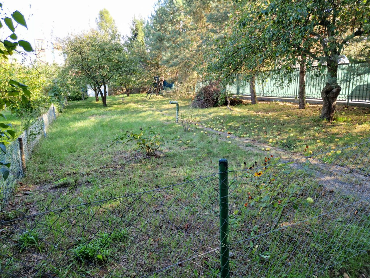 Działka rod Wrocław Krzyki, ul. Borowska. Zdjęcie 7