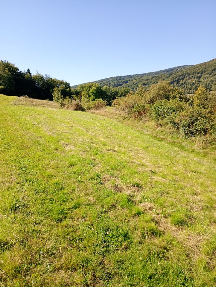 Działka budowlana Gruszowiec Do Jakubca. Zdjęcie 6