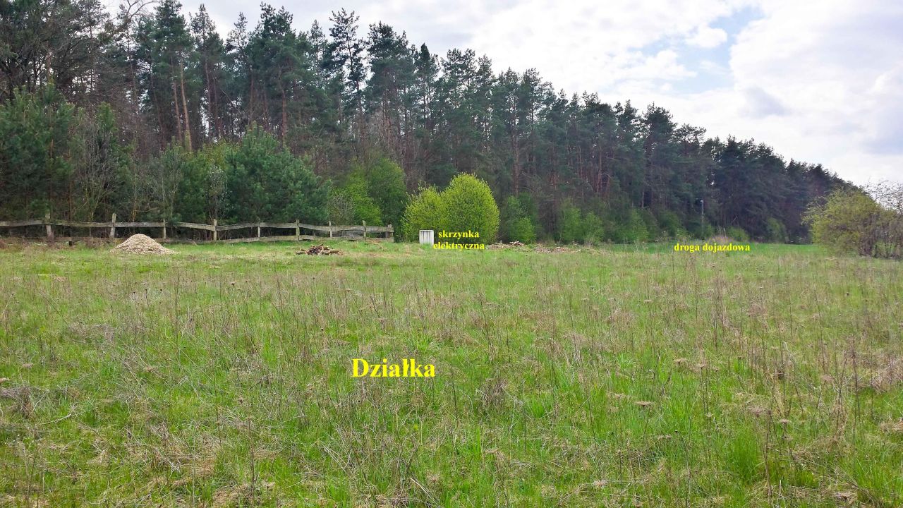 Działka rolno-budowlana Rudzienice. Zdjęcie 13