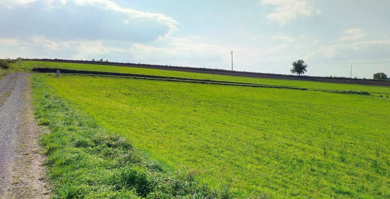 Działka siedliskowa Gnojnik. Zdjęcie 2