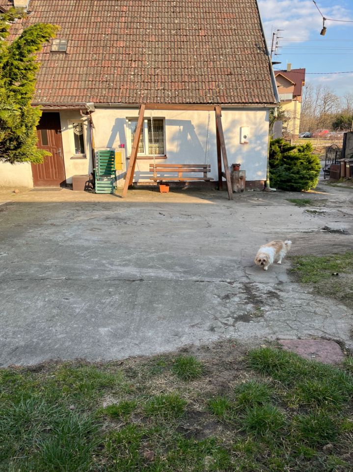 dom wolnostojący, 6 pokoi Łobez, ul. Józefa Ignacego Kraszewskiego. Zdjęcie 6