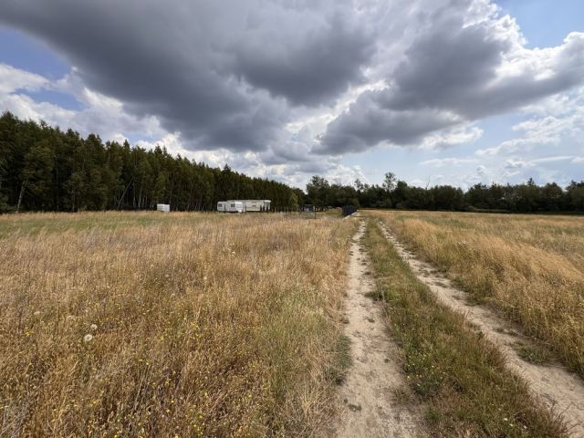 Działka rolno-budowlana Złotopolice. Zdjęcie 1