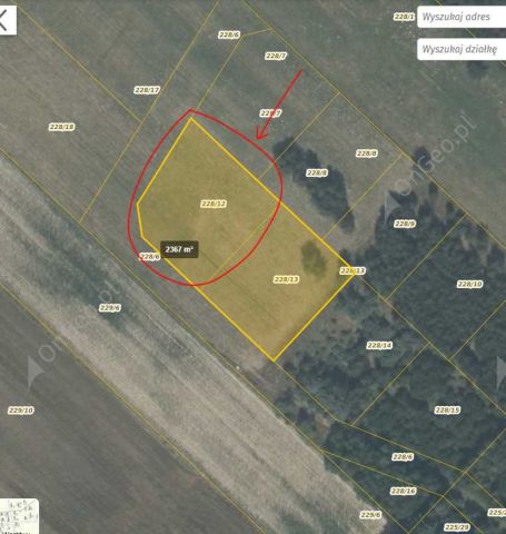 Działka rekreacyjna Domaniów. Zdjęcie 1