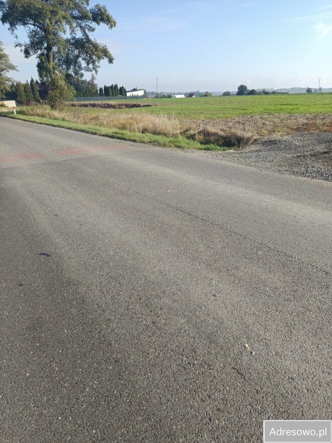 Działka budowlana Piotrówek. Zdjęcie 3