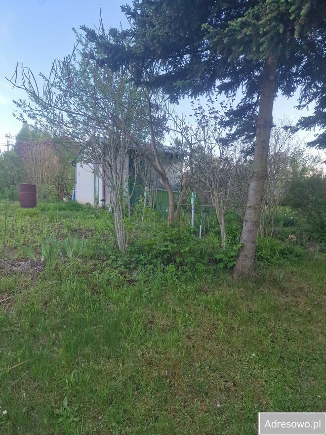 Działka rod Rzeszów, ul. Ciepłownicza. Zdjęcie 11