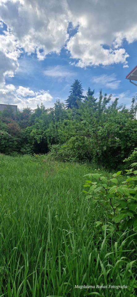 Działka budowlana Gdynia Orłowo, ul. Akacjowa. Zdjęcie 8