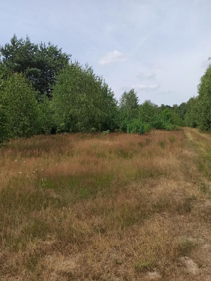 Działka rolno-budowlana Kurowice Kurowice Bankowe, ul. Brzezińska. Zdjęcie 2