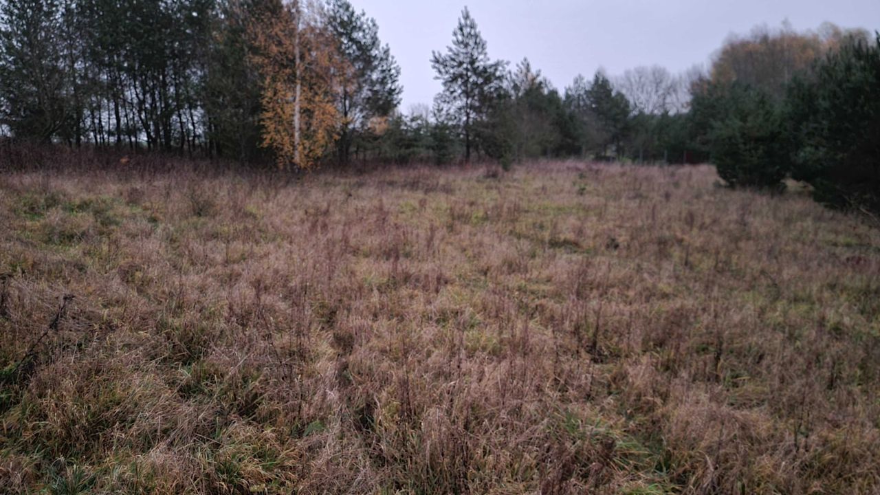 Działka budowlana Dobrojewo. Zdjęcie 3