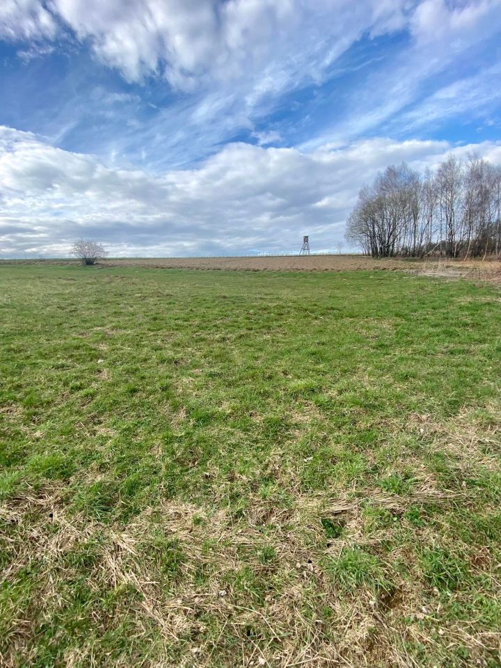 Działka rolna Pstrągówka. Zdjęcie 4