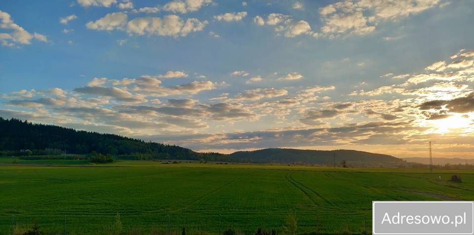 Działka rolna Wojcieszyce. Zdjęcie 6