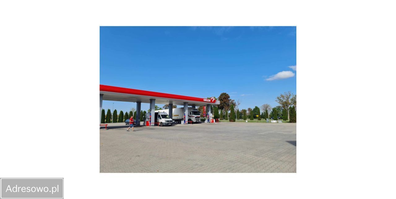 Lokal Bieniewo-Parcela. Zdjęcie 7