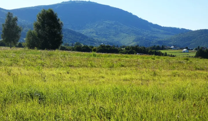 Działka budowlana Lipowa, ul. Promienna