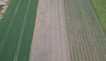 Działka budowlana Strzelce Krajeńskie, ul. Lawendowa