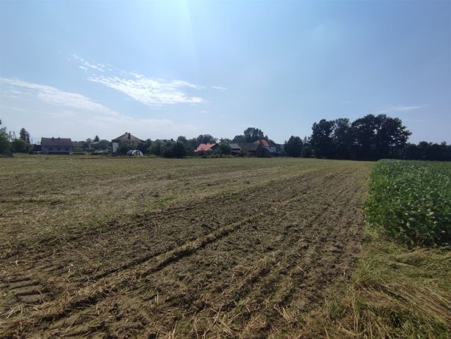 Działka budowlana Studzienice. Zdjęcie 4