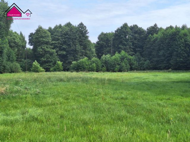 Działka rolna Kępa. Zdjęcie 4