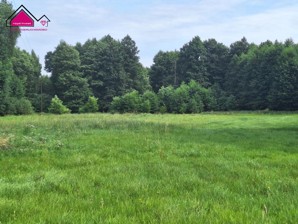 Działka rolna Kępa. Zdjęcie 4