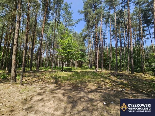 Działka budowlana Trzepieciny. Zdjęcie 6