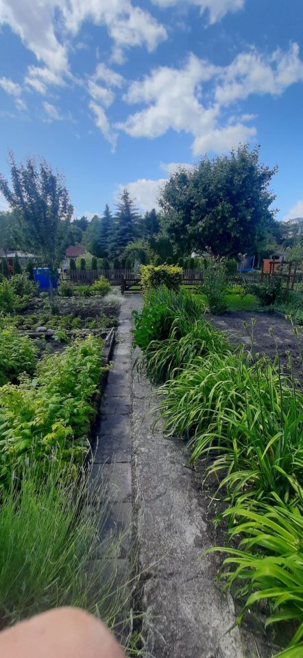 Działka rod Piła. Zdjęcie 8