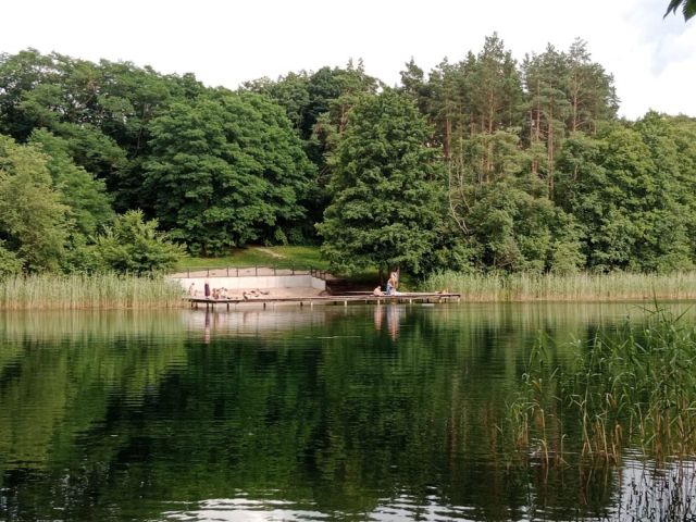 Działka budowlana Orzyny. Zdjęcie 1