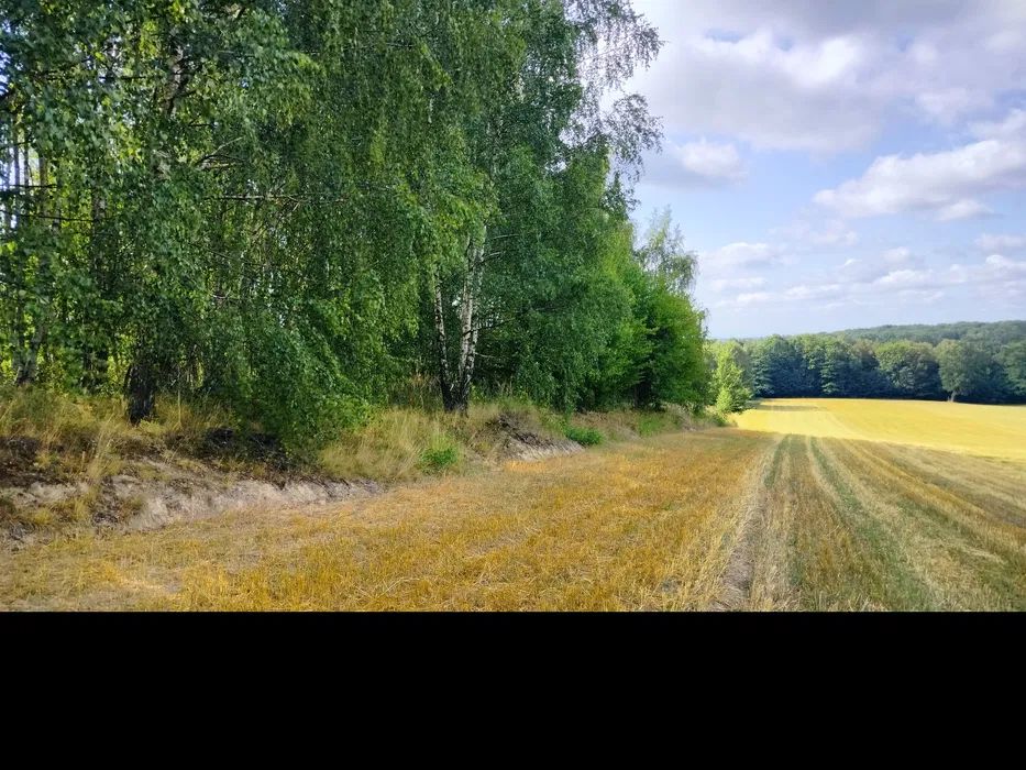Działka budowlana Łaziska Górne Centrum. Zdjęcie 5