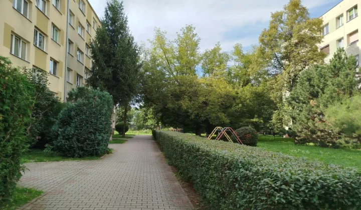 Mieszkanie 2-pokojowe Wrocław Psie Pole, ul. Bezpieczna