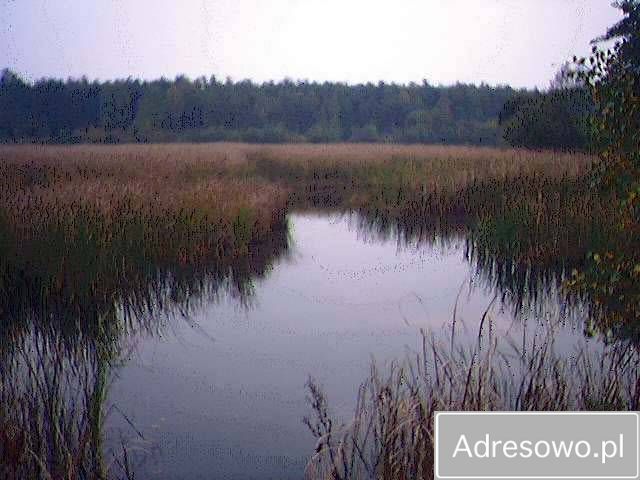 Działka Jaworznik, ul. Ściegienna. Zdjęcie 2