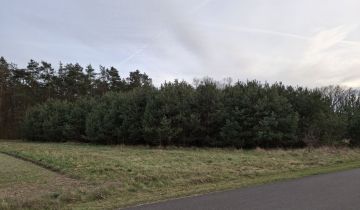 Działka budowlana Grabina Wielka