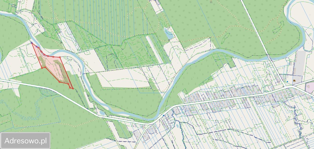 Działka rolna Wólka Biska. Zdjęcie 3