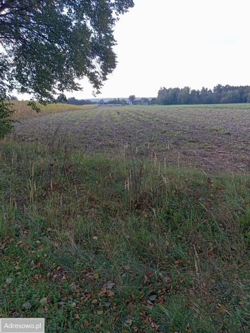 Działka rolna Kurznie, ul. Adama Mickiewicza. Zdjęcie 1