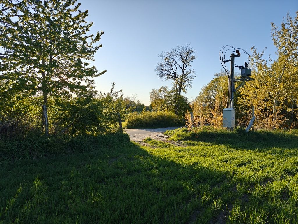 Działka siedliskowa Szczenurze. Zdjęcie 3