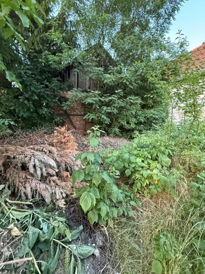 Działka budowlana Marcinowice, ul. Spółdzielcza. Zdjęcie 3