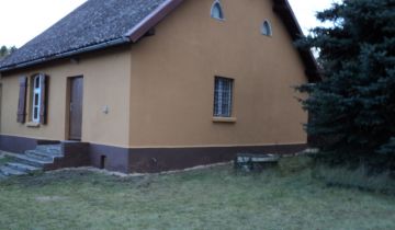 Działka leśna Łosiny