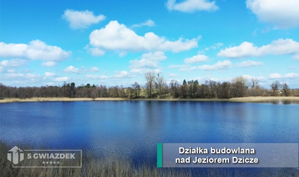 Działka budowlana Dziki. Zdjęcie 17