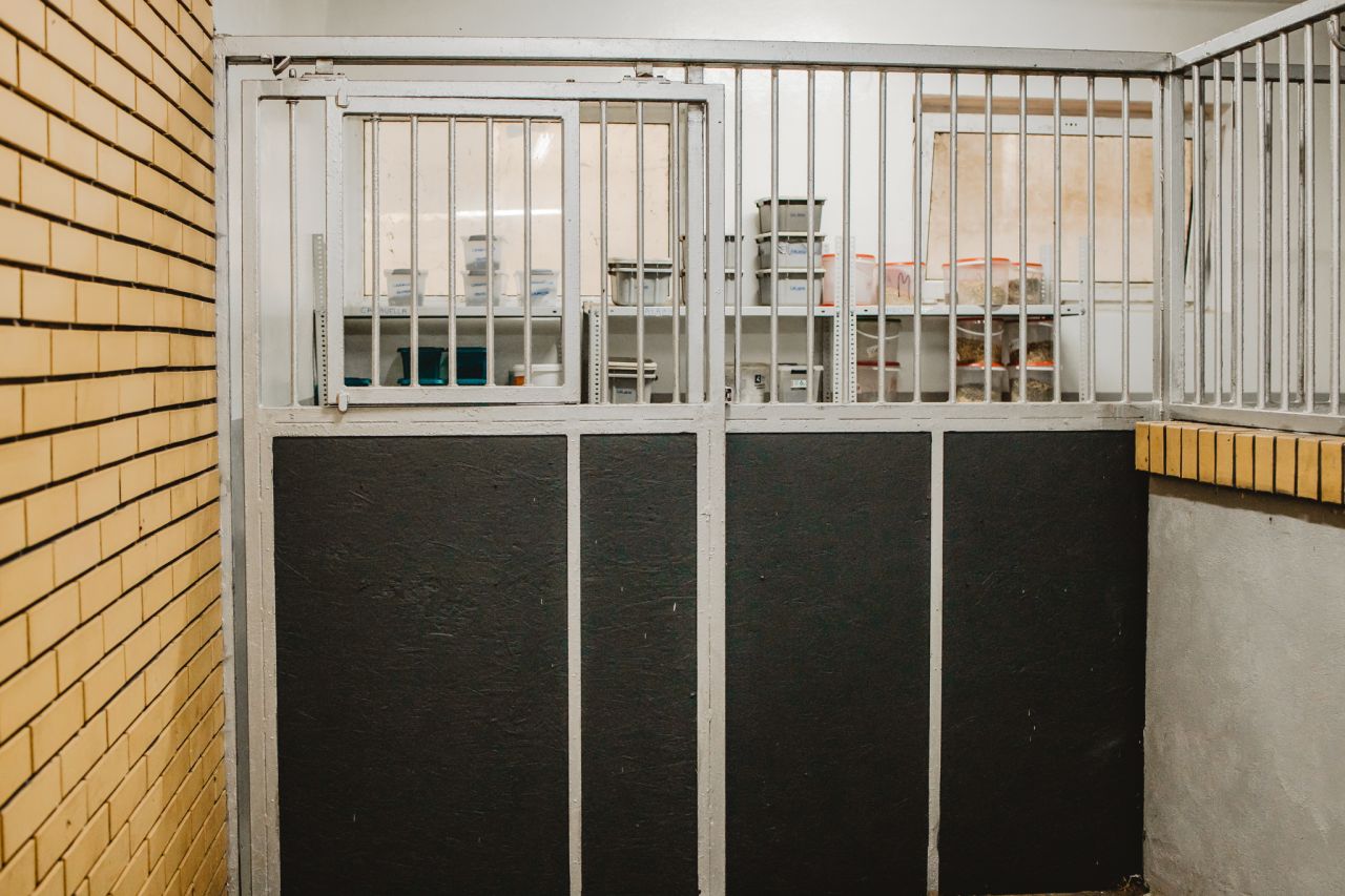 Nieruchomość komercyjna Kębliny, ul. Włościańska. Zdjęcie 9