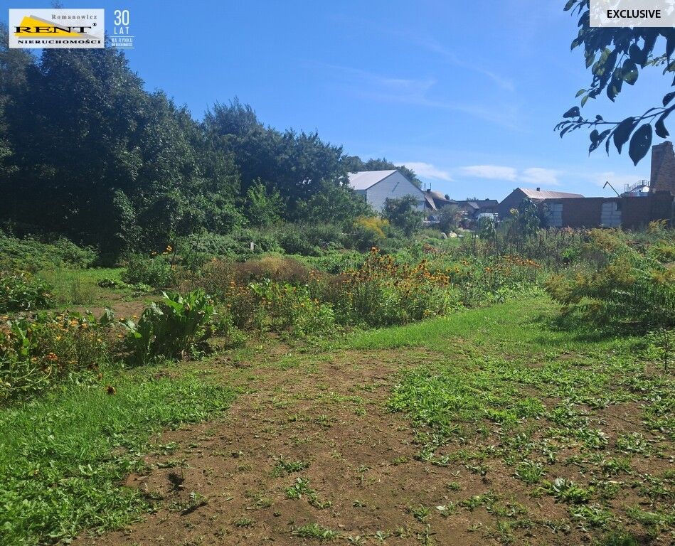 Działka siedliskowa Parlino. Zdjęcie 5