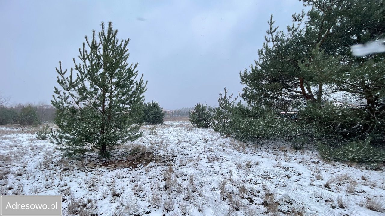 Działka budowlana Walendów, ul. Sadowa. Zdjęcie 15