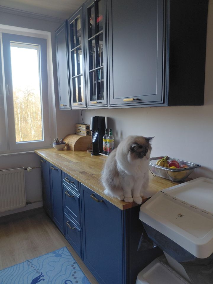 Mieszkanie 2-pokojowe Gliwice Kopernik, ul. Syriusza. Zdjęcie 7