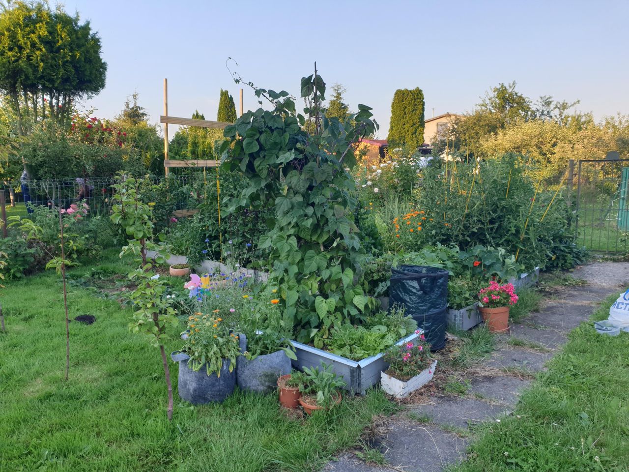 Działka rod Szczecin Śródmieście, ul. Marynarska. Zdjęcie 6