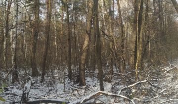 Działka inwestycyjna Warszawa Wawer, ul. Żarecka