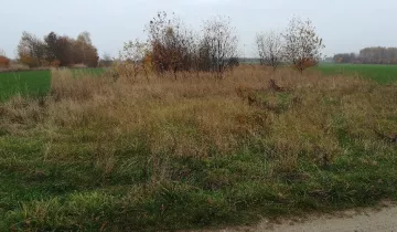 Działka na sprzedaż bez pośredników 
 
 Borzykówka - View 5