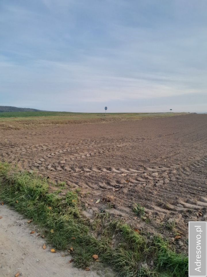 Działka budowlana Czernica. Zdjęcie 3