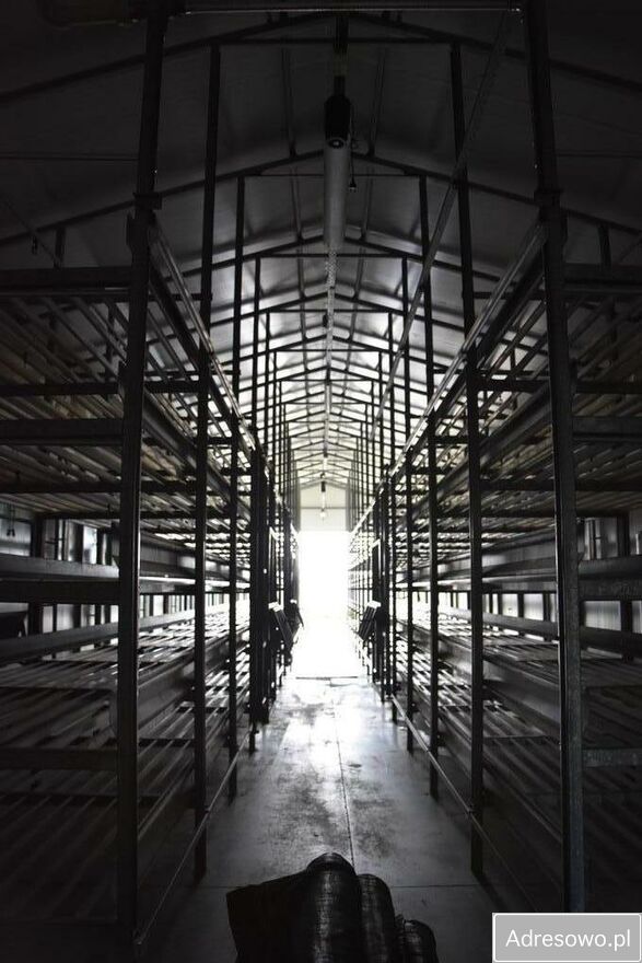 Działka inwestycyjna Przykwa. Zdjęcie 10